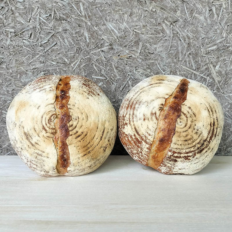 日月堂 カンパーニュ