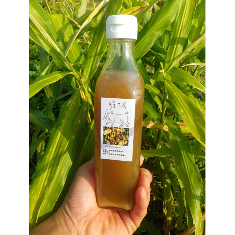 ほっとジンジャー