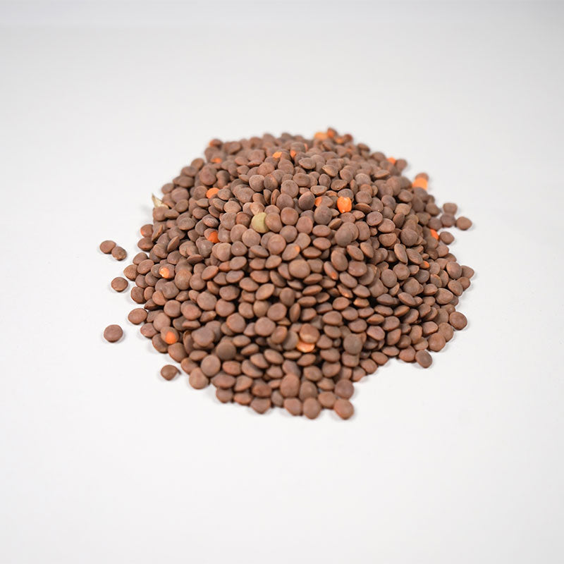Organic Brown Lentils